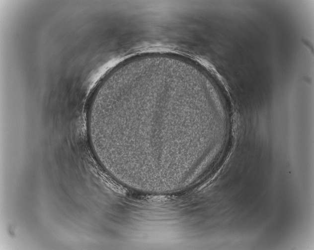 X0000102481167200808291620