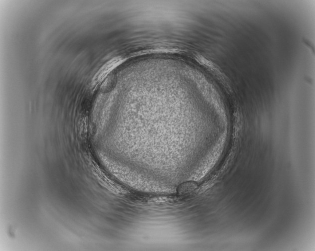 X0000102481169200808291620