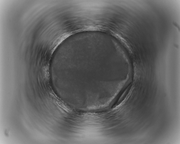 X0000102481170200808291620