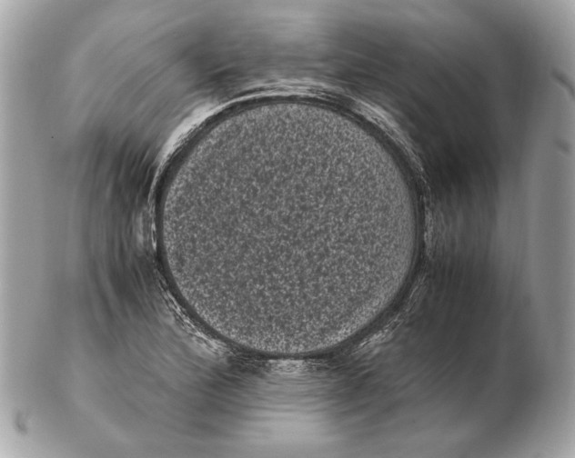 X0000102481172200808291620