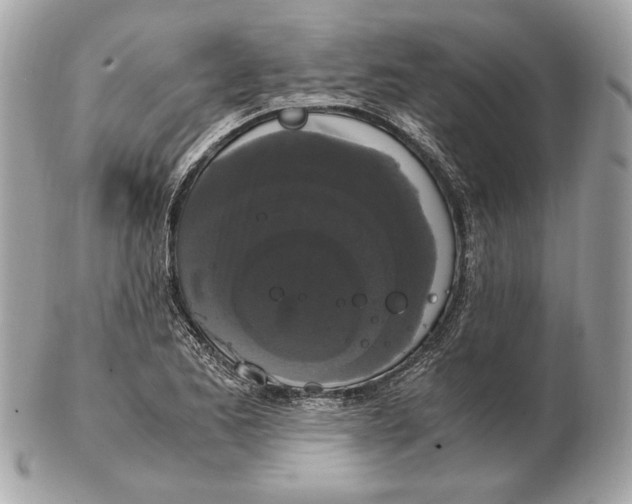 X0000102481173200808291620