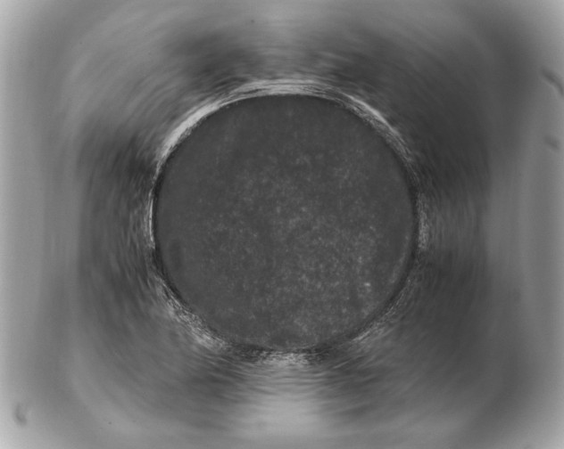 X0000102481174200808291620