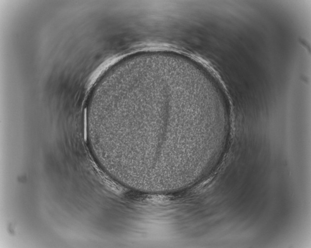 X0000102481175200808291620