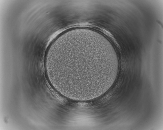 X0000102481176200808291620