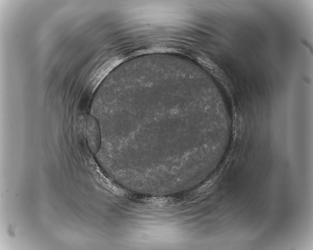 X0000102481177200808291620