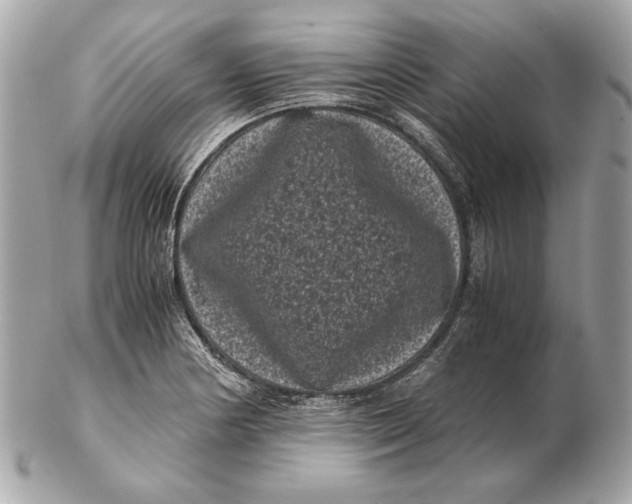 X0000102481178200808291620