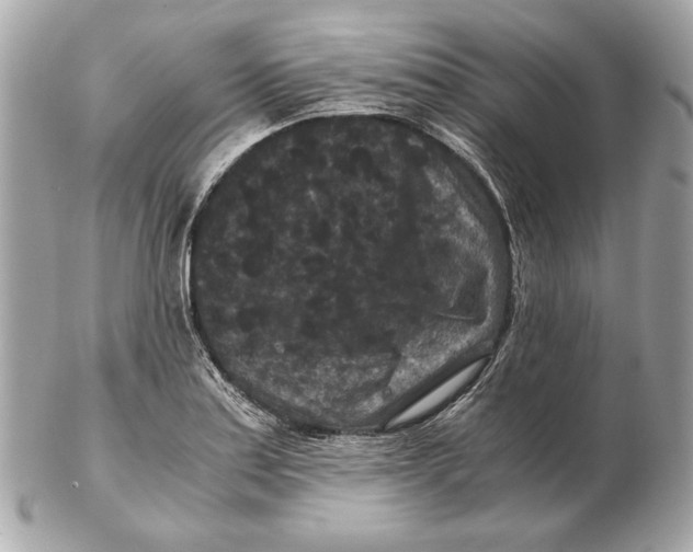 X0000102481179200808291620