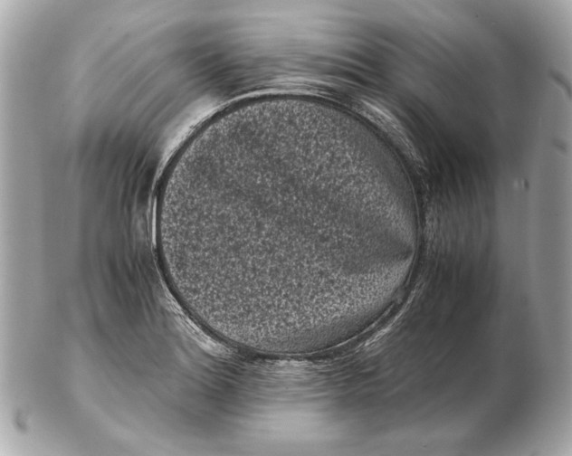 X0000102481180200808291620