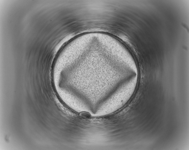 X0000102481181200808291620