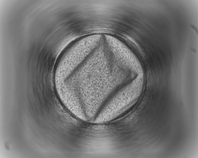 X0000102481182200808291620