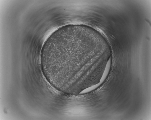 X0000102481183200808291620