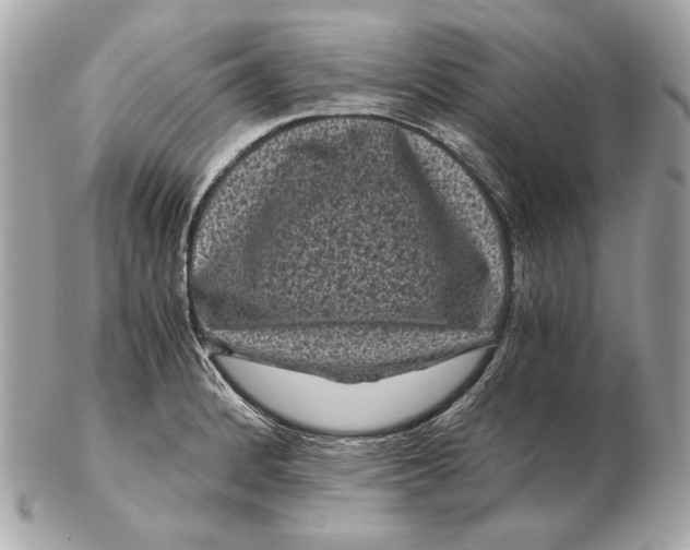 X0000102481184200808291620