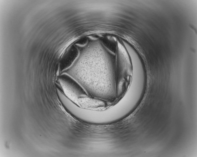 X0000102481185200808291620