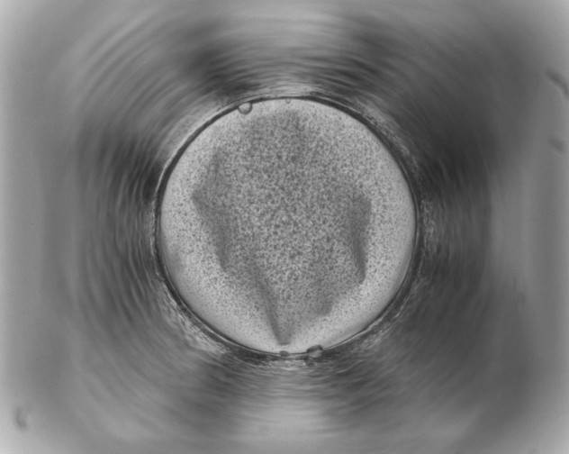 X0000102481186200808291620