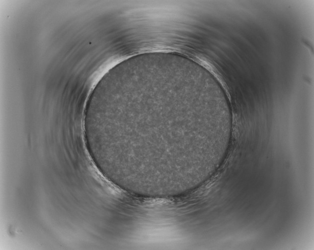 X0000102481187200808291620