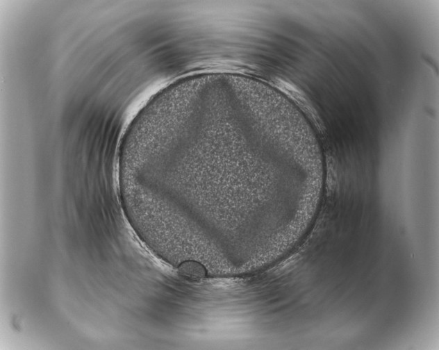 X0000102481188200808291620