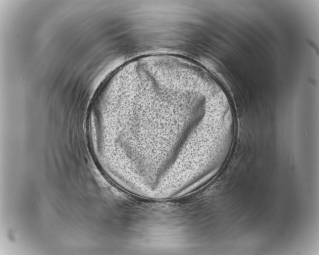 X0000102481189200808291620