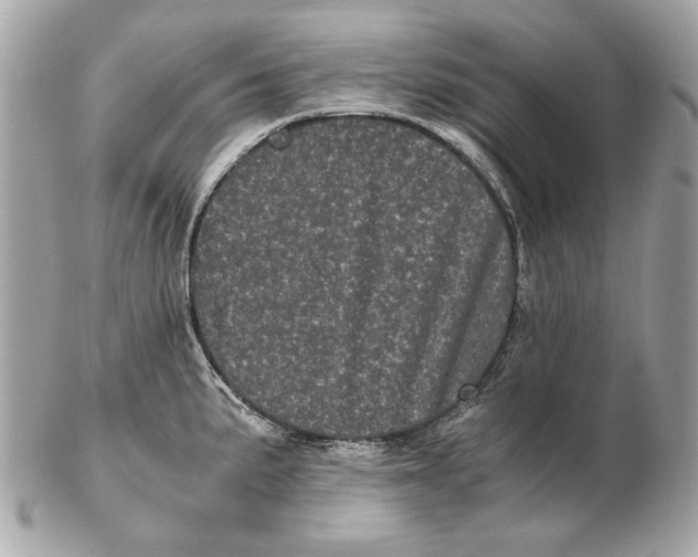 X0000102481191200808291620