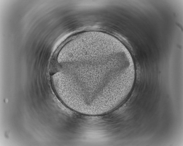 X0000102481192200808291620