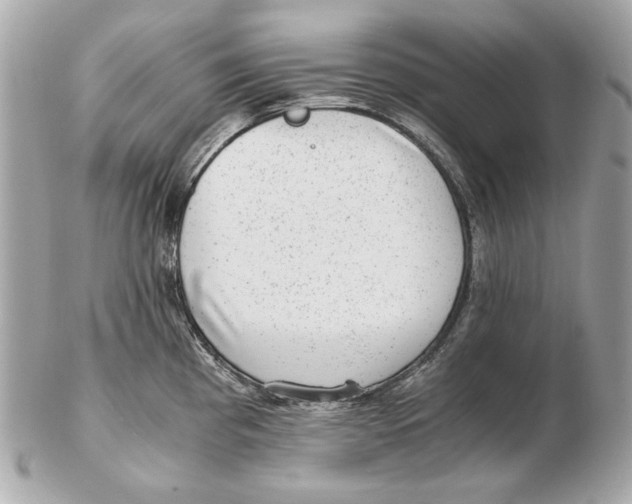 X0000102481193200808291620