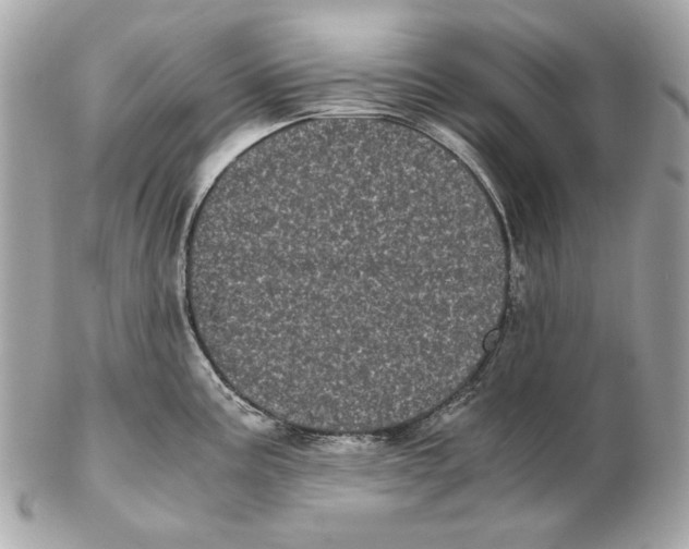 X0000102481195200808291620