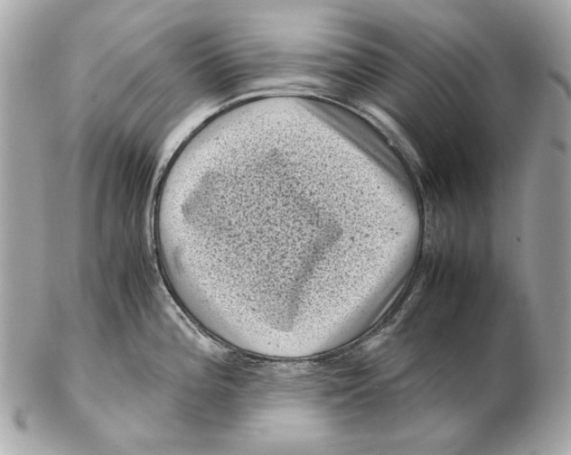 X0000102481196200808291620