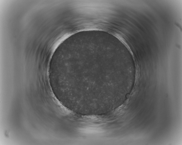 X0000102481197200808291620