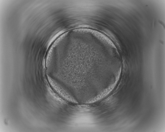 X0000102481198200808291620