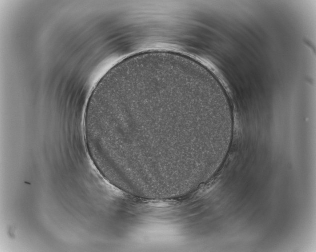 X0000102481199200808291620