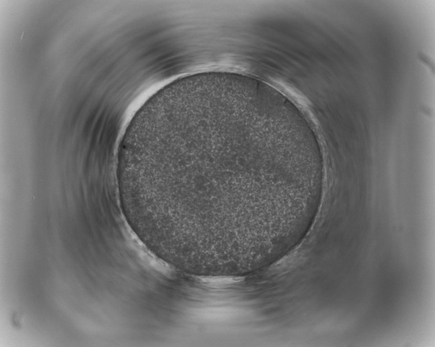 X0000102481200200808291620