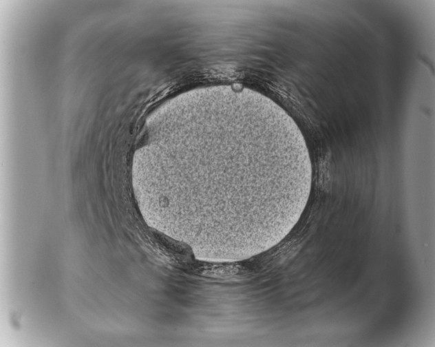 X0000102481201200808291619