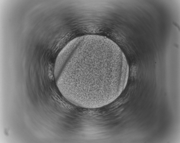 X0000102481202200808291619