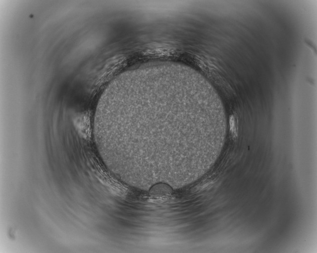 X0000102481203200808291619