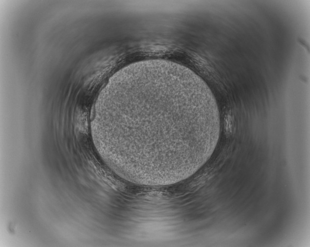 X0000102481204200808291619