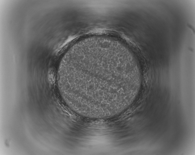 X0000102481206200808291619