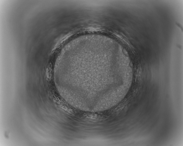 X0000102481207200808291619