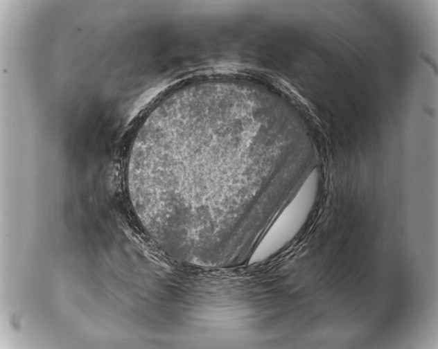 X0000102481208200808291619