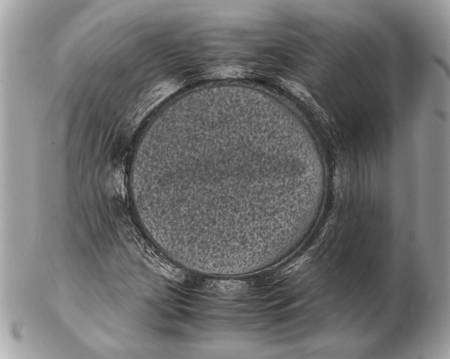 X0000102481209200808291619