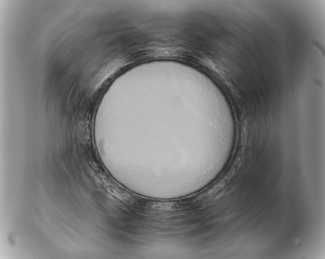 X0000102481211200808291619