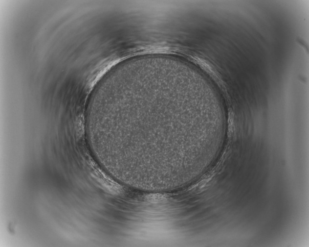 X0000102481212200808291619