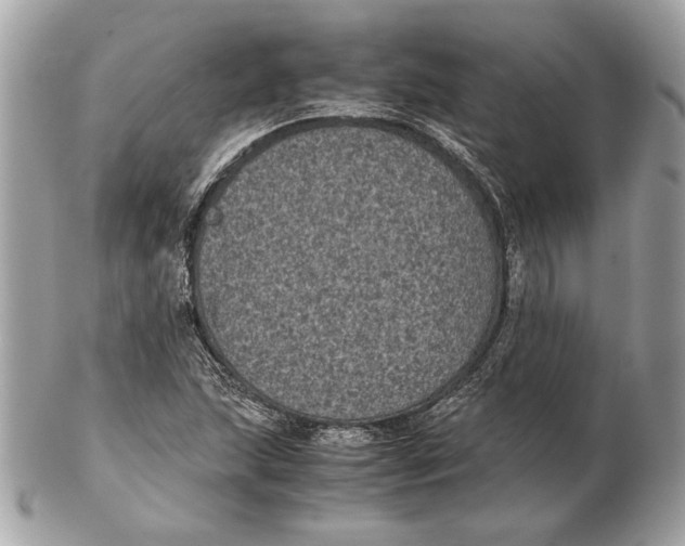 X0000102481215200808291620