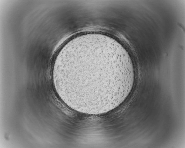 X0000102481216200808291620