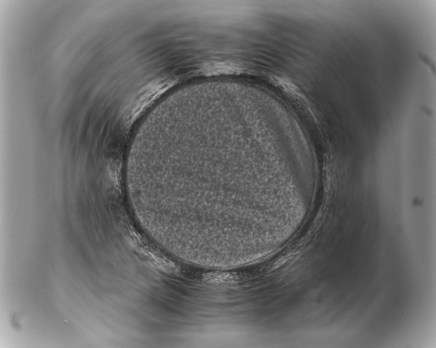 X0000102481217200808291620