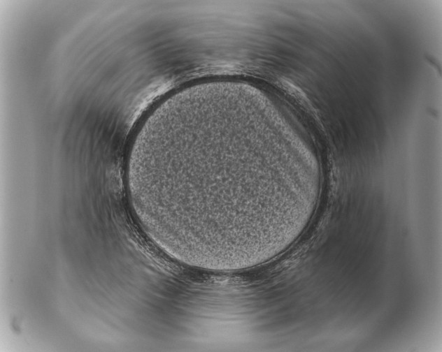 X0000102481218200808291620