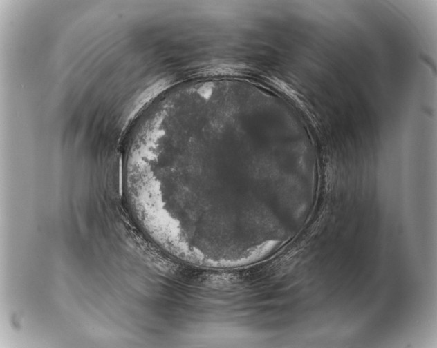 X0000102481219200808291620