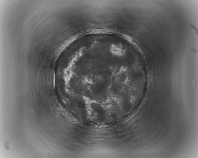 X0000102481221200808291620