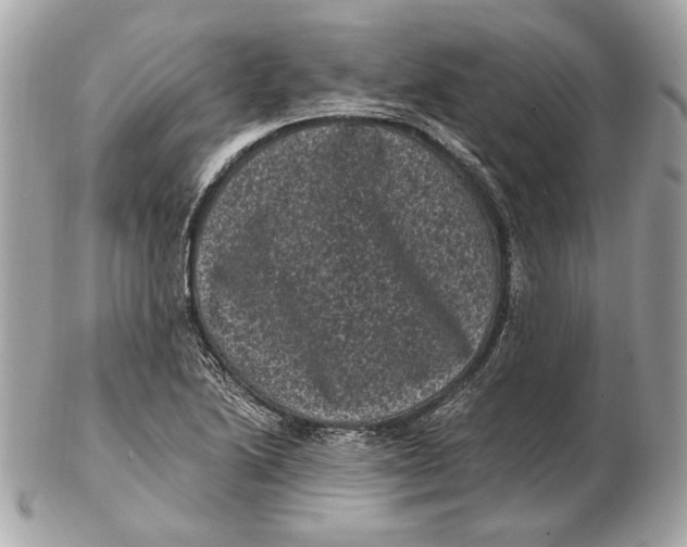 X0000102481222200808291620