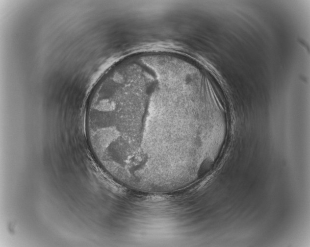 X0000102481224200808291620