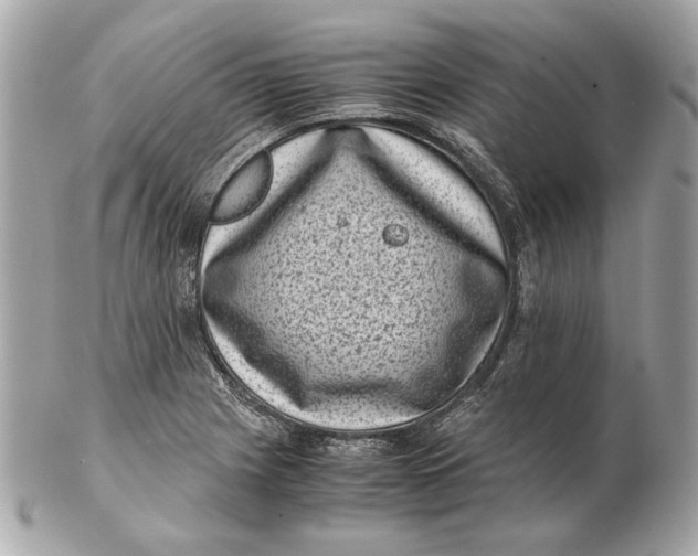 X0000102481225200808291620