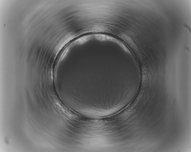 X0000102481226200808291620